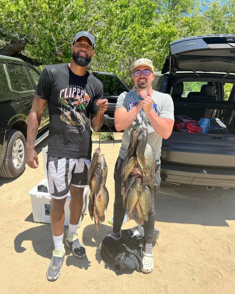 乐部对财政 乐部对财政